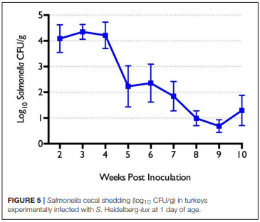 Salmonella Harborage Sites in Infected Poultry That May Contribute to Contamination of Ground Meat - Image 7