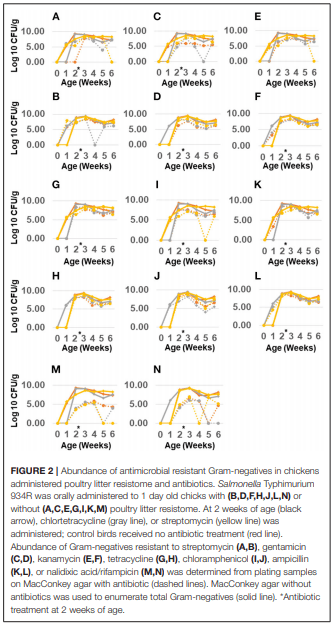 Antimicrobial Resistant Salmonella enterica Typhimurium Colonizing Chickens: The Impact of Plasmids, Genotype, Bacterial Communities, and Antibiotic Administration on Resistance - Image 10