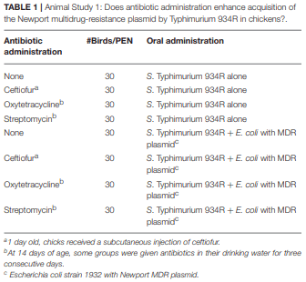 Antimicrobial Resistant Salmonella enterica Typhimurium Colonizing Chickens: The Impact of Plasmids, Genotype, Bacterial Communities, and Antibiotic Administration on Resistance - Image 1