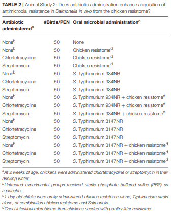 Antimicrobial Resistant Salmonella enterica Typhimurium Colonizing Chickens: The Impact of Plasmids, Genotype, Bacterial Communities, and Antibiotic Administration on Resistance - Image 2