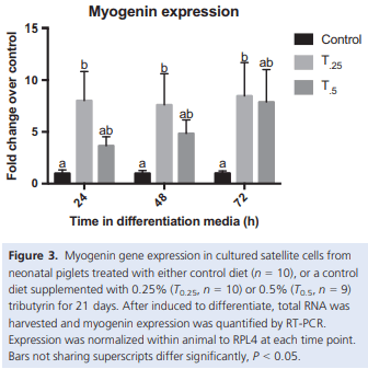 Dietary tributyrin, an HDAC inhibitor, promotes muscle growth through enhanced terminal differentiation of satellite cells - Image 5