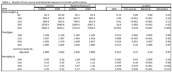 Effect of SQM Iron in Broilers Under Microbial Exposure - Image 3