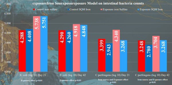 Influence of Iron Source (Organic vs Inorganic) on Broiler Performance Under a Pathogen Exposure - Image 1