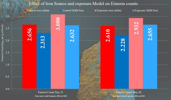 Influence of Iron Source (Organic vs Inorganic) on Broiler Performance Under a Pathogen Exposure - Image 5