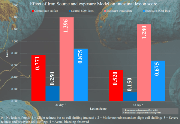 Influence of Iron Source (Organic vs Inorganic) on Broiler Performance Under a Pathogen Exposure - Image 4