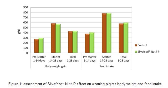 Plant bioactives to reduce post-weaning diarrhoea in piglets - Image 2