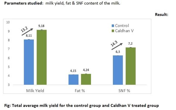 Improving lactational Efficiency by modulating absorption of micronutrients in the dairy cows - Image 2