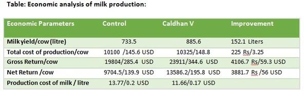 Improving lactational Efficiency by modulating absorption of micronutrients in the dairy cows - Image 3