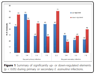 Analysis of global transcriptional responses of chicken following primary and secondary Eimeria acervulina infections - Image 1
