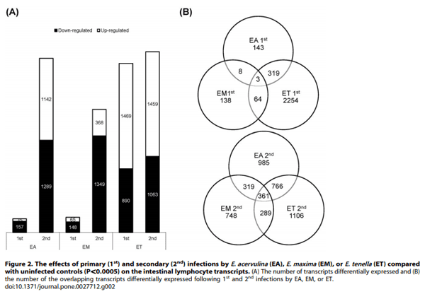 Comparative Microarray Analysis of Intestinal Lymphocytes following Eimeria acervulina, E. maxima, or E. tenella Infection in the Chicken - Image 3