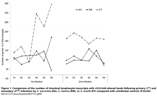 Comparative Microarray Analysis of Intestinal Lymphocytes following Eimeria acervulina, E. maxima, or E. tenella Infection in the Chicken - Image 2