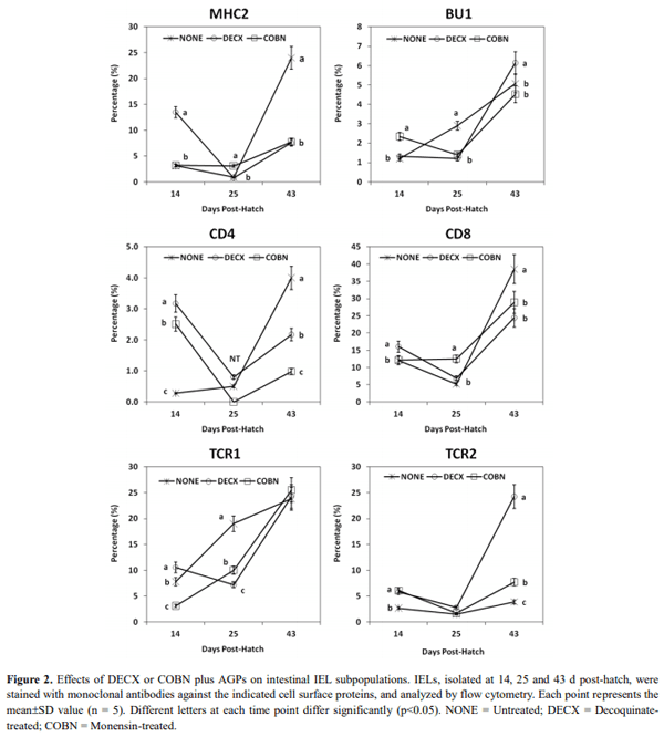 Effect of Dietary Antimicrobials on Immune Status in Broiler Chickens - Image 4