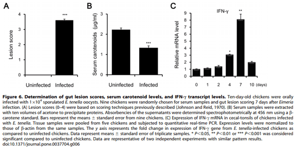 Identification and Comparative Expression Analysis of Interleukin 2/15 Receptor b Chain in Chickens Infected with E. tenella - Image 7