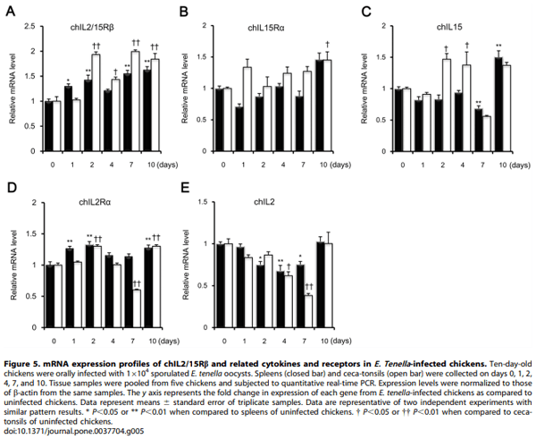 Identification and Comparative Expression Analysis of Interleukin 2/15 Receptor b Chain in Chickens Infected with E. tenella - Image 6