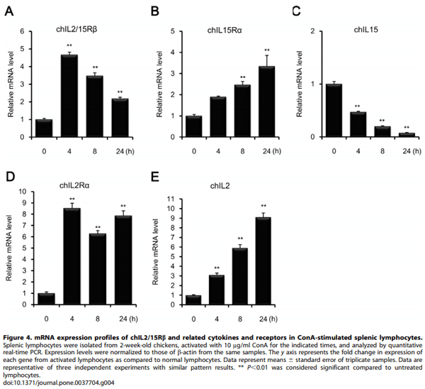 Identification and Comparative Expression Analysis of Interleukin 2/15 Receptor b Chain in Chickens Infected with E. tenella - Image 5