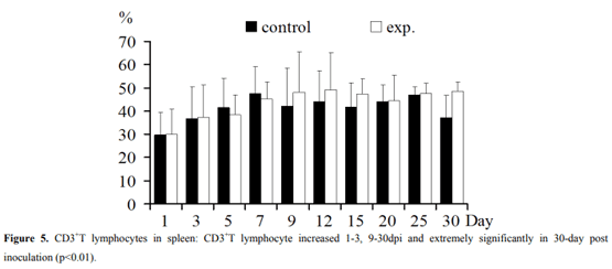 Regulation of T Lymphocyte Subpopulations in Specific Pathogen-Free Chickens Following Experimental Fowl Adenovirus-VIII Infection - Image 5