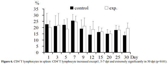 Regulation of T Lymphocyte Subpopulations in Specific Pathogen-Free Chickens Following Experimental Fowl Adenovirus-VIII Infection - Image 6