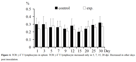 Regulation of T Lymphocyte Subpopulations in Specific Pathogen-Free Chickens Following Experimental Fowl Adenovirus-VIII Infection - Image 4