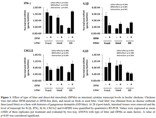 Effect of Bacillus Subtilis-based Direct-fed Microbials on Immune Status in Broiler Chickens Raised on Fresh or Used Litter - Image 4