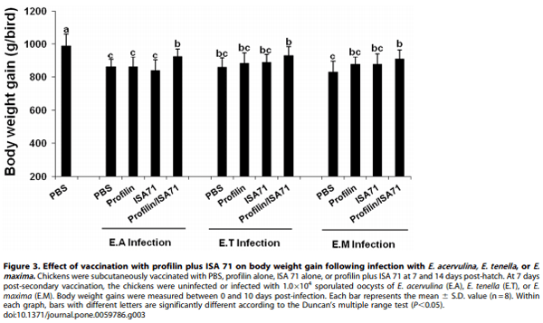 Evaluation of MontanideTM ISA 71 VG Adjuvant during Profilin Vaccination against Experimental Coccidiosis - Image 7