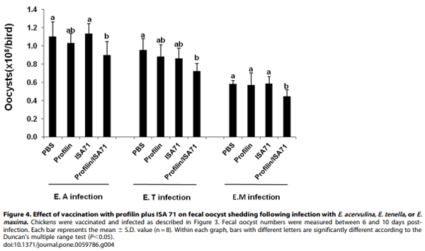 Evaluation of MontanideTM ISA 71 VG Adjuvant during Profilin Vaccination against Experimental Coccidiosis - Image 8