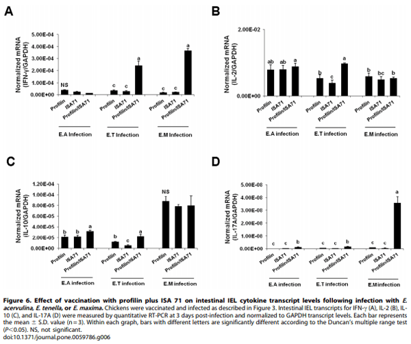 Evaluation of MontanideTM ISA 71 VG Adjuvant during Profilin Vaccination against Experimental Coccidiosis - Image 10