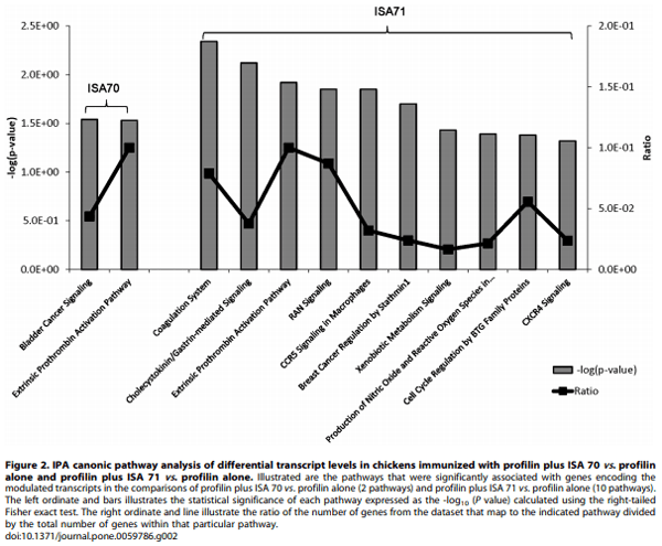 Evaluation of MontanideTM ISA 71 VG Adjuvant during Profilin Vaccination against Experimental Coccidiosis - Image 5