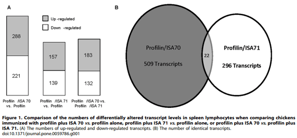 Evaluation of MontanideTM ISA 71 VG Adjuvant during Profilin Vaccination against Experimental Coccidiosis - Image 2
