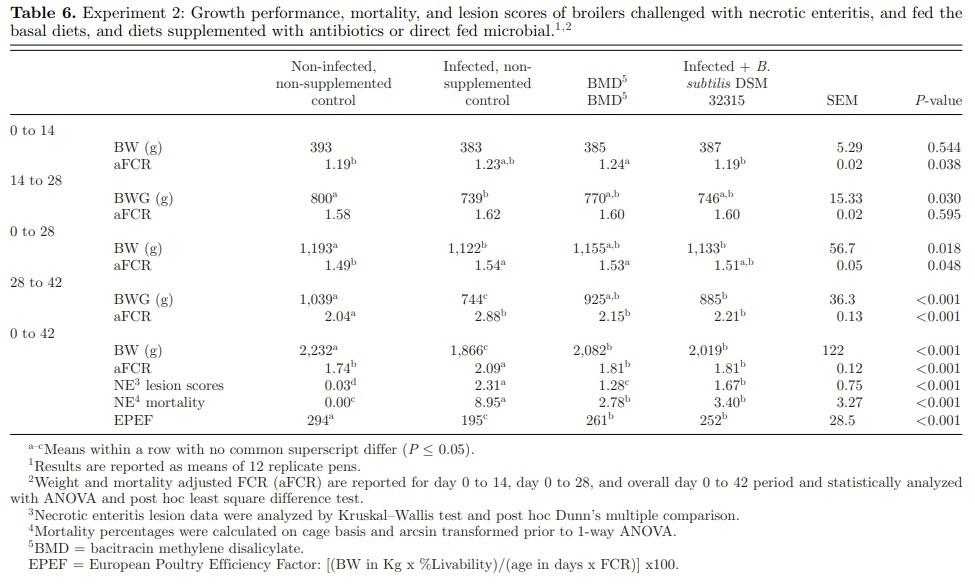 Effect of Bacillus subtilis DSM 32315 on the intestinal structural integrity and growth performance of broiler chickens under necrotic enteritis challenge - Image 6
