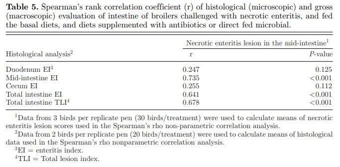 Effect of Bacillus subtilis DSM 32315 on the intestinal structural integrity and growth performance of broiler chickens under necrotic enteritis challenge - Image 5