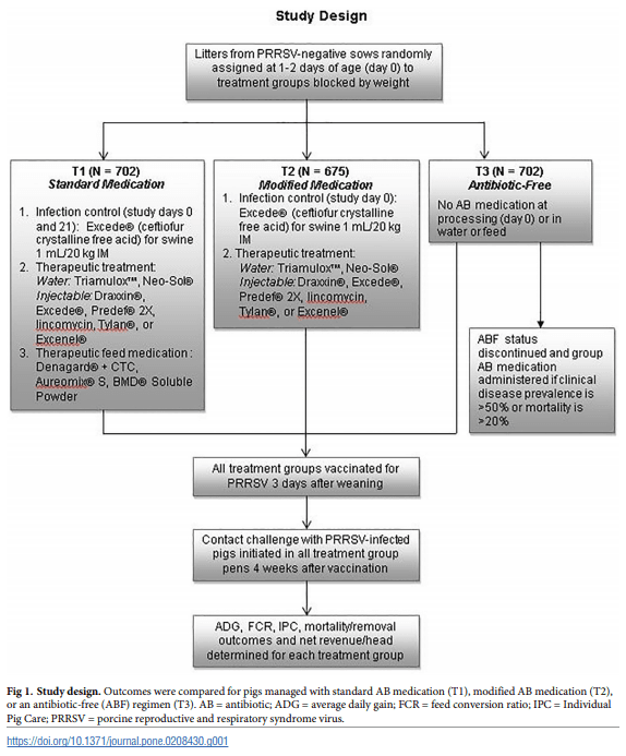A randomized controlled trial to evaluate performance of pigs raised in antibiotic-free or conventional production systems following challenge with porcine reproductive and respiratory syndrome virus - Image 1