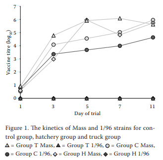 Evaluation of unintended 1/96 infectious bronchitis vaccine transmission in broilers after direct contact with vaccinated ones - Image 3