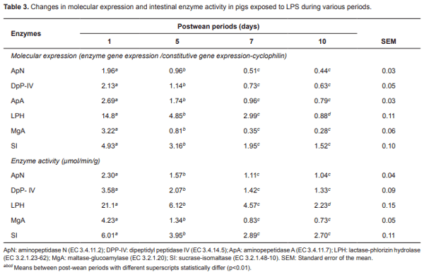 Escherichia coli lipopolysaccharides decrease molecular expression and activity of disaccharidases and aminopeptidases in weaned pigs - Image 3
