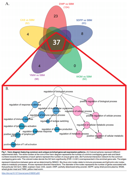 Dietary protein sources differentially affect microbiota, mTOR activity and transcription of mTOR signaling pathways in the small intestine - Image 2