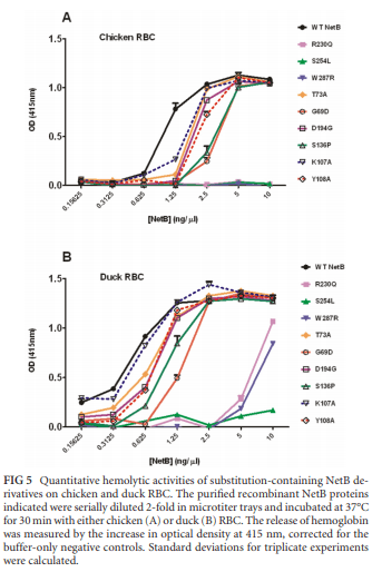 Structural and Functional Analysis of the Pore-Forming Toxin NetB from Clostridium perfringens - Image 5