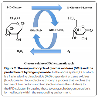Innovative drugs, chemicals, and enzymes within the animal production chain - Image 2