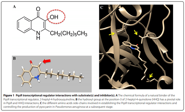 Innovative drugs, chemicals, and enzymes within the animal production chain - Image 1