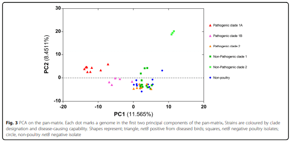 Whole genome analysis reveals the diversity and evolutionary relationships between necrotic enteritis-causing strains of Clostridium perfringens - Image 5