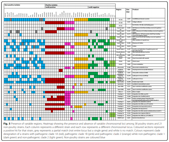 Whole genome analysis reveals the diversity and evolutionary relationships between necrotic enteritis-causing strains of Clostridium perfringens - Image 7