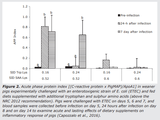 Improving protein utilization efficiency through better understanding of immune and stress responses in pigs - Image 2