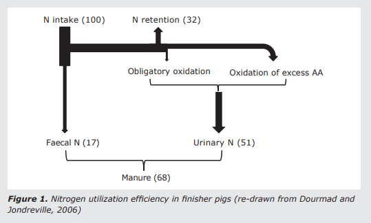 Improving protein utilization efficiency through better understanding of immune and stress responses in pigs - Image 1