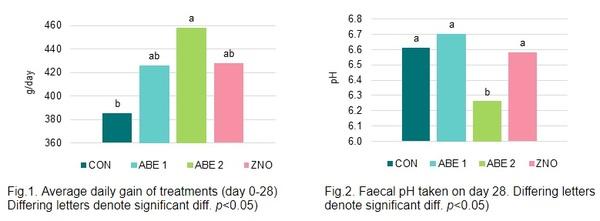 Acid based Eubiotics as Natural Alternatives to Therapeutic Zinc Oxide in Newly Weaned Piglets - Image 1