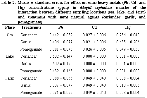 Removal of some heavy metals from mullet (bury fish) by using aqueous solutions of pomegranate peel, garlic and Coriandrum sativum - Image 2