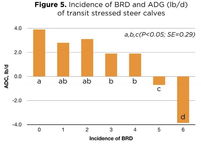 Enhancing Animal Health and Performance With Ruminally Protected Microencapsulated Antioxidants - Image 5
