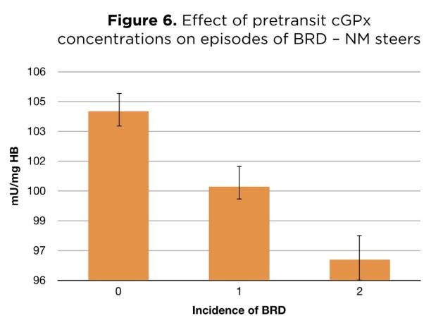 Enhancing Animal Health and Performance With Ruminally Protected Microencapsulated Antioxidants - Image 7