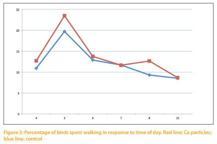 The behavior of broiler breeders under controlled feeding conditions in response to coarse Ca particles scattered in the litter - Image 4