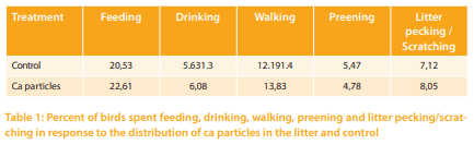 The behavior of broiler breeders under controlled feeding conditions in response to coarse Ca particles scattered in the litter - Image 2