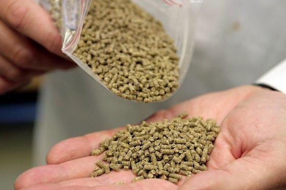 Finding the right charcoal source - Image 1