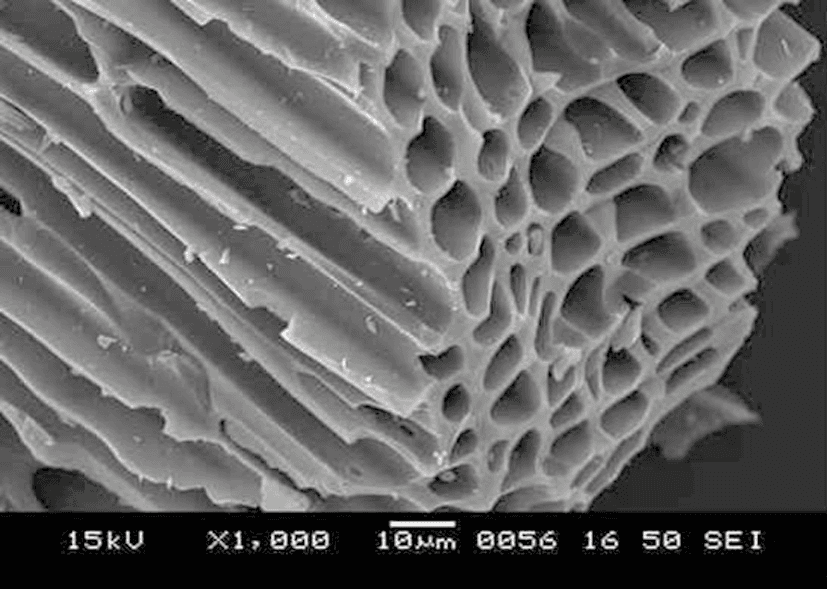 Finding the right charcoal source - Image 3