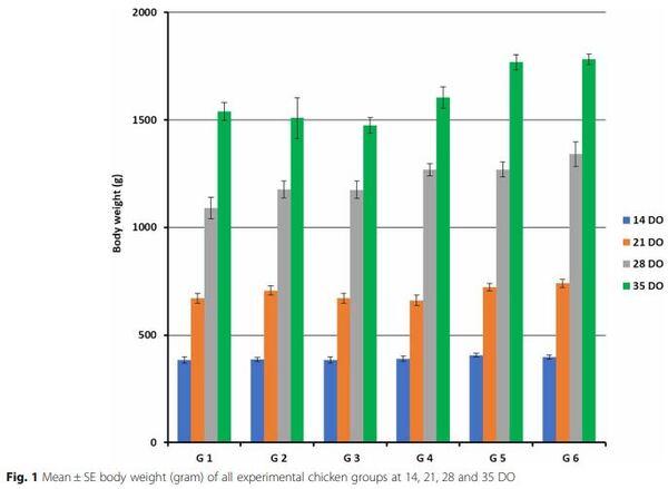 Interaction between avian influenza subtype H9N2 and Newcastle disease virus vaccine strain (LaSota) in chickens - Image 3